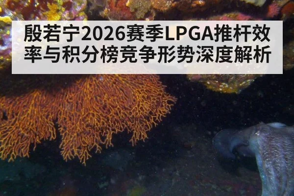殷若宁2026赛季LPGA推杆效率与积分榜竞争形势深度解析